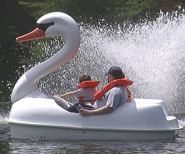 Swan Pedal Boat